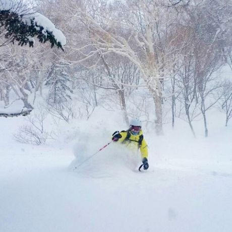 The Best Time to Ski Japan - Honshu Vs Hokkaido.